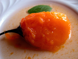 ложка с гущей томатного супа для похудения